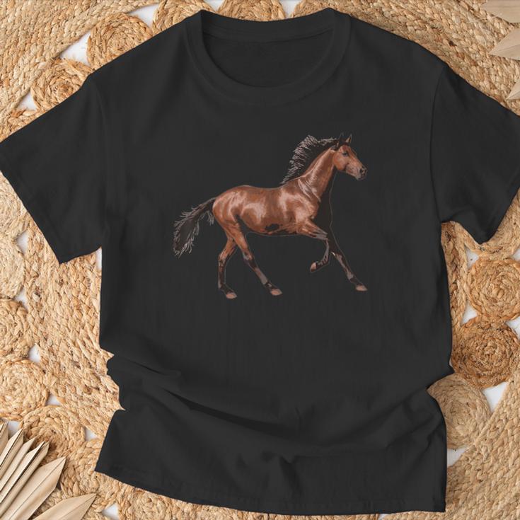 Pferd Braun Hengst Brauner Schwarze Mähne T-Shirt Geschenke für alte Männer