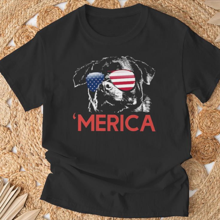 Rottweiler American Flag 4Th Of July T-Shirt Gifts for Old Men