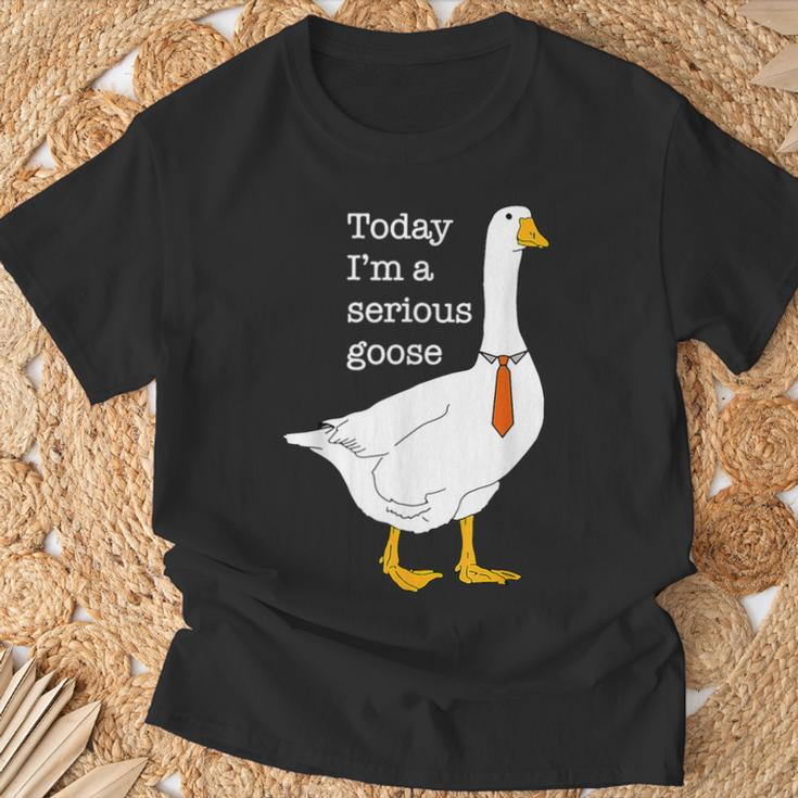 Silly Goose Gifts
