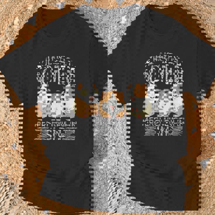 Zuhause Ist Wo Meine Meerschweinchen Sind Guinea Pigs T-Shirt Geschenke für alte Männer