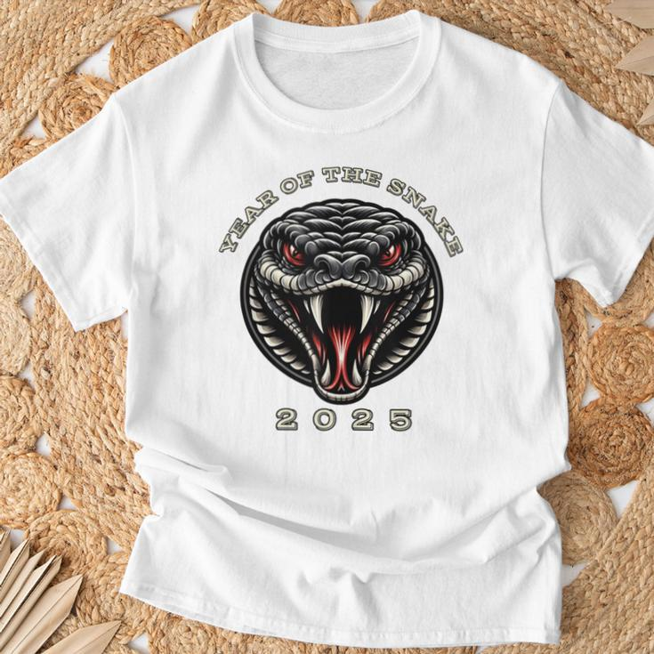 2025 Year Of The Snake Chinese New Year Zodiac Snake T-Shirt Gifts for Old Men