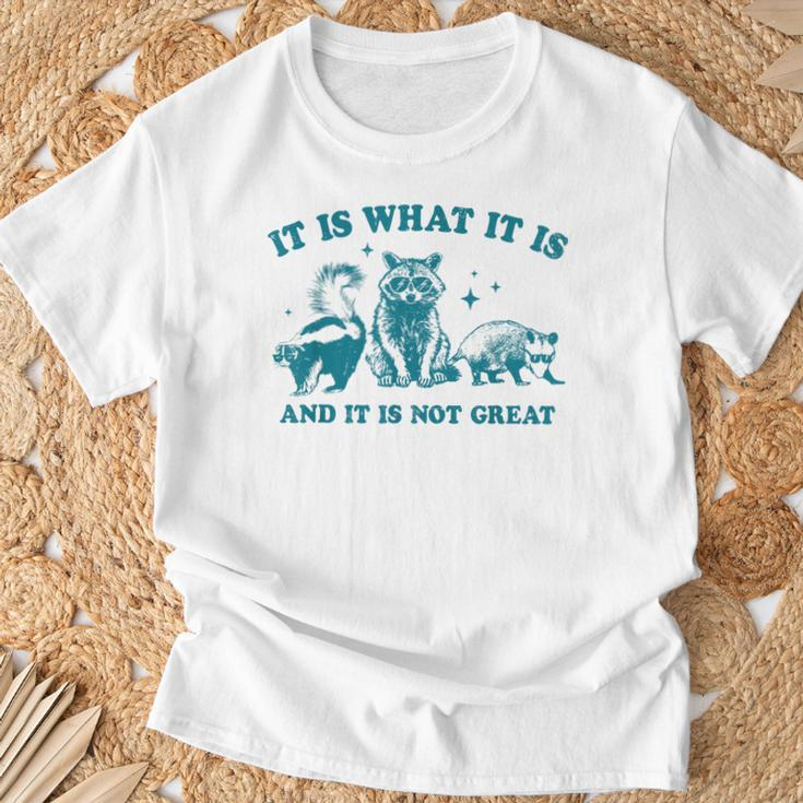 It Is What It Is And It Is Not Great Raccoon Trash Panda T-Shirt Gifts for Old Men
