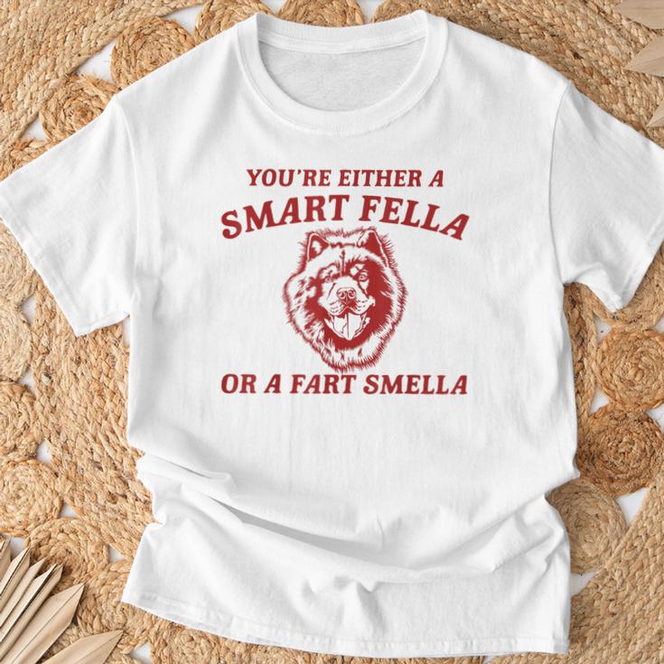 Fart Gifts, Smart Fella Shirts