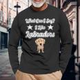 What Can I Say I Like Labradors Yellow Lab Labrador Long Sleeve T-Shirt Gifts for Old Men