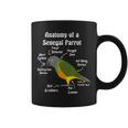 Anatomy Of A Senegal Parrot Coffee Mug