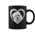 Maltese Maltese Dog Maltese Tassen