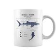 Whale Shark Anatomy Herren Damen Kinder Walhai Tassen