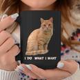 I Do What I Want Orange Tabby Cat Lovers Coffee Mug Unique Gifts