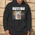 I Can Act Rather Silly At Times Silly Cat Meme Hoodie Lifestyle
