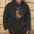 Anatomy Of A Dachshund Badger Dog Kapuzenpullover Lebensstil