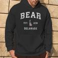 Bear Delaware De Vintage American Flag Sports Hoodie Lifestyle