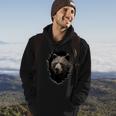 Bear Peeping Out Of The Wall Animal Zoo Bear Hoodie Lifestyle