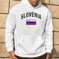 Slovenia Flag Slovenia Proud Slovenia Gray Hoodie Lebensstil