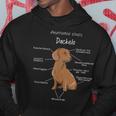 Anatomy Of A Dachshund Badger Dog Kapuzenpullover Lustige Geschenke