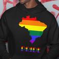 Brazil Pride Lgbt Pride Gay Pride Month Lesbian Lgbtq Hoodie Unique Gifts