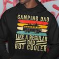 Camper Father For Father Day Camping Dad Hoodie Funny Gifts