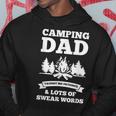 Camping Dad Taught Me Patience Caravan Hoodie Unique Gifts