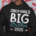 Only Child Big Brother 2025 Promoted To Big Brother 2025 Hoodie Unique Gifts
