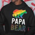Gay Papa Bear Proud Dad Lgbtq Parent Lgbt Father Hoodie Unique Gifts