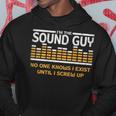 I'm The Sound Guy Audio Tech Sound Engineer Hoodie Funny Gifts
