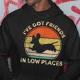 I've Got Friends In Low Places Dachshund Wiener Dog Hoodie Funny Gifts