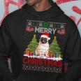 Merry Christmas Santa Light Pug Dog Family Ugly Sweater Hoodie Funny Gifts