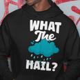 Meteorology Weathercaster Meteorologist What The Hail Hoodie Unique Gifts