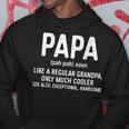Papa Definition Father's Day Hoodie Unique Gifts