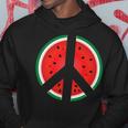 Peace Sign Watermelon Fruit Graphic Hoodie Unique Gifts