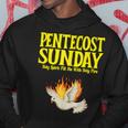 Pentecost Sunday Holy Spirit Fill Me With Holy Fire Hoodie Unique Gifts