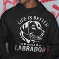 Pet Owner Labrador Kapuzenpullover Lustige Geschenke