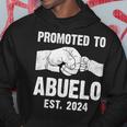 Promoted To Abuelo Est 2024 New Abuelo Father's Day Hoodie Unique Gifts
