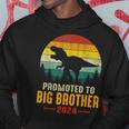 Promoted To Big Brother 2024 Dinosaur Family Matching T-Rex Hoodie Personalized Gifts