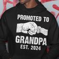 Promoted To Grandpa Est 2024 New Grandpa Father's Day Hoodie Unique Gifts