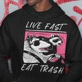 Raccoon And Possum Live Fast Eat Trash Enjoy Life Adventure Hoodie Funny Gifts