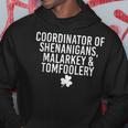 Retro Coordinator Of Shenanigans Malarkey And Tomfoolery Hoodie Funny Gifts