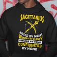 Sagittarius Hated By Many November December Zodiac Birthday Hoodie Unique Gifts