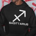 Sagittarius Zodiac Sign November December Birthday Hoodie Unique Gifts