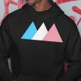 Transgender Flag Trans Pride Subtle Trans Hoodie Unique Gifts