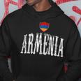 Vintage Armenia Flag Armenian Pride Sport Hoodie Unique Gifts