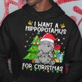 I Want A Hippopotamus For Christmas Santa Lights Hippo Xmas Hoodie Funny Gifts