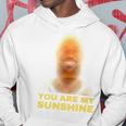 James Meme You Are My Sunshine Joke For And Women Hoodie Funny Gifts
