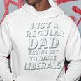 Just A Regular Dad Trying Not To Raise Liberals Father's Day Hoodie Funny Gifts