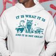 It Is What It Is And It Is Not Great Raccoon Trash Panda Hoodie Funny Gifts