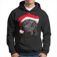 Cute Black Lab Santa Hat Christmas Dog Labrador Retriever Hoodie