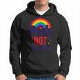 Lgbt Pride Pride Not Prejudice Lgbt Flag Hoodie