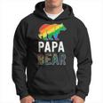 Gay Papa Bear Proud Dad Lgbtq Parent Lgbt Father Hoodie