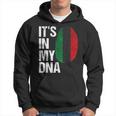 It's My Dna Pride African American Flag Black Liberation Hoodie