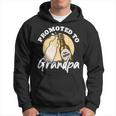 Promoted To Grandpa 2025 Hoodie