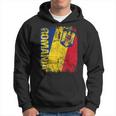 Romania Flag Vintage Distressed Romania Hoodie